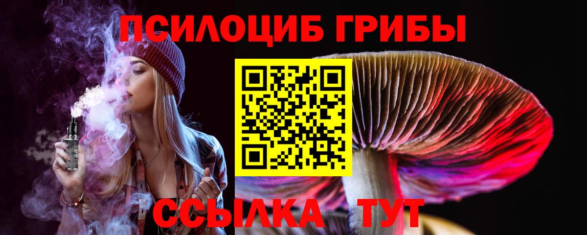 Псилоцибиновые грибы мухоморы  Вход с VPN  Бердск 